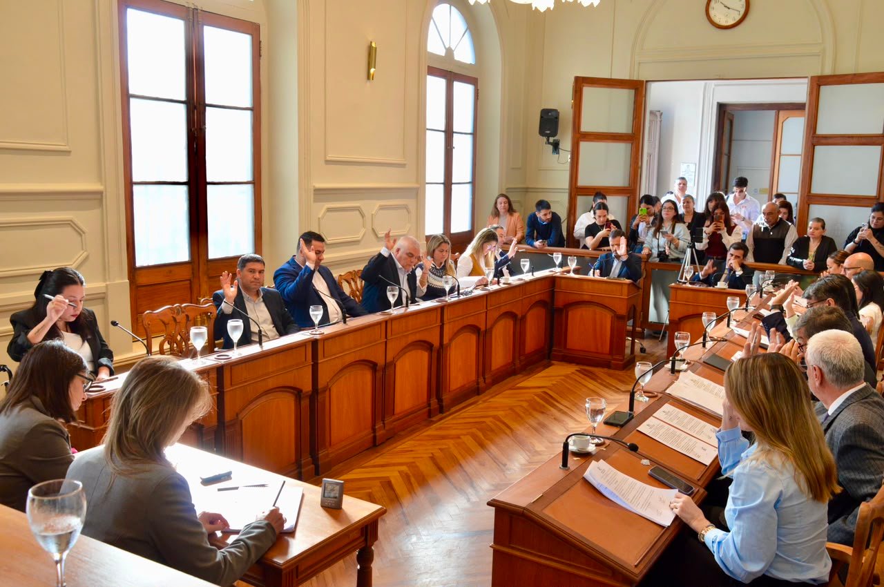 El Concejo de capital distinguió a destacados profesionales de la medicina
